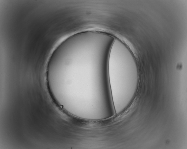 X0000103331375200809051012