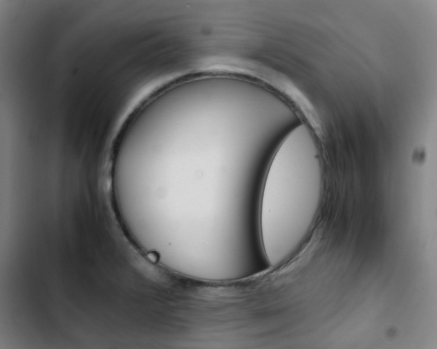 X0000103331376200809051012