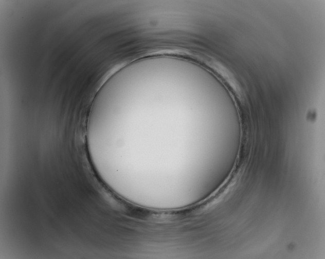 X0000103331377200809051012