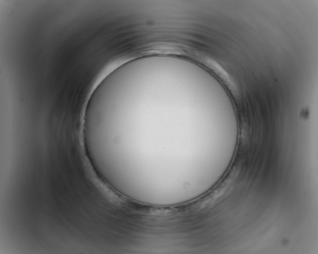 X0000103331378200809051012