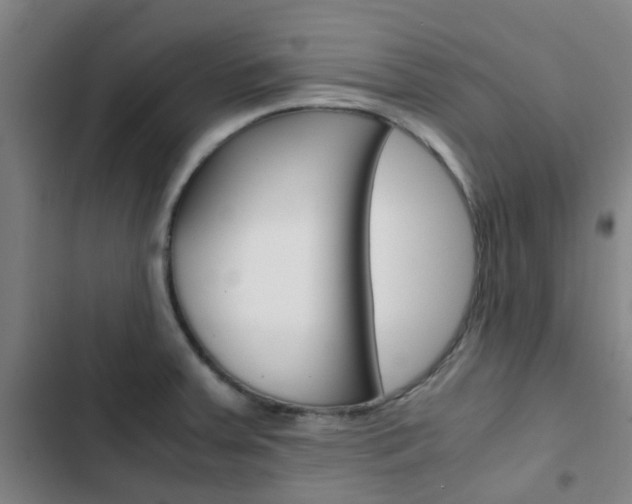 X0000103331379200809051012