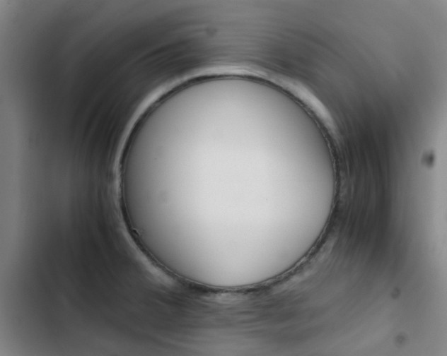 X0000103331380200809051012