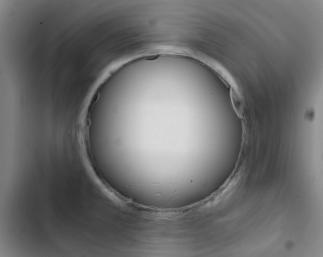 X0000103331381200809051012