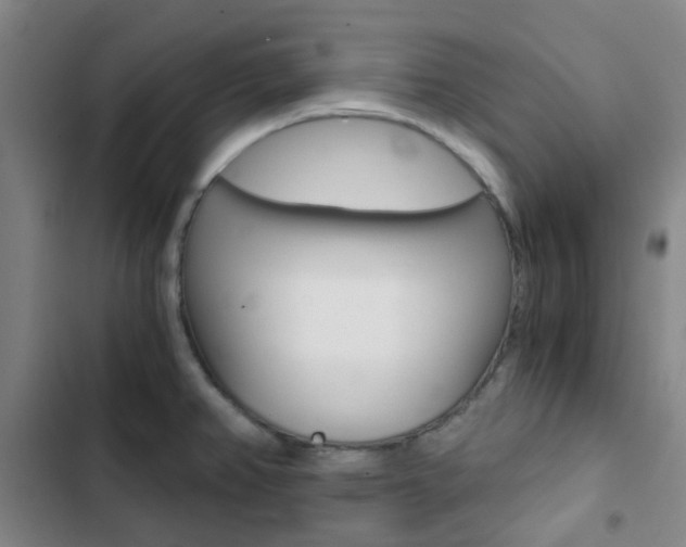 X0000103331382200809051012