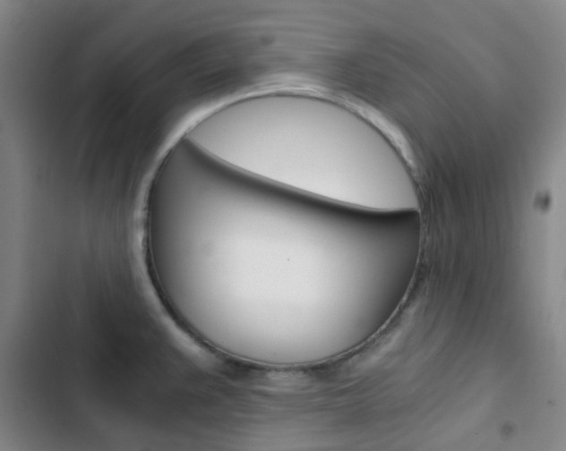 X0000103331383200809051012