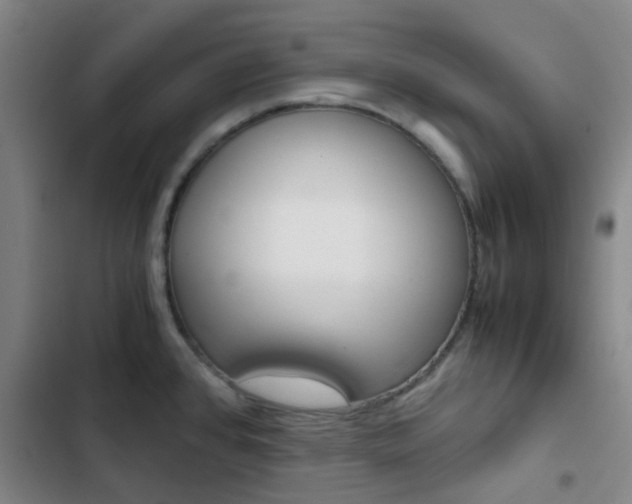 X0000103331384200809051012