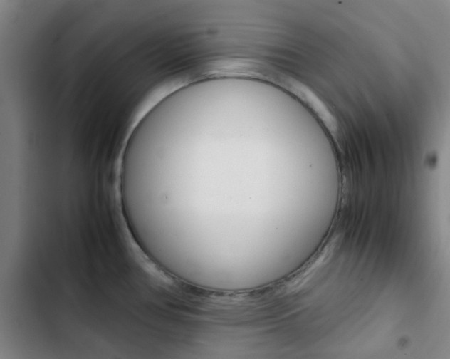X0000103331386200809051012