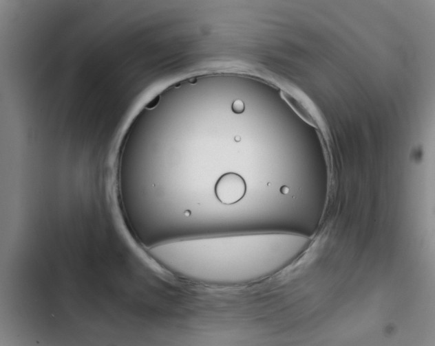 X0000103331389200809051012