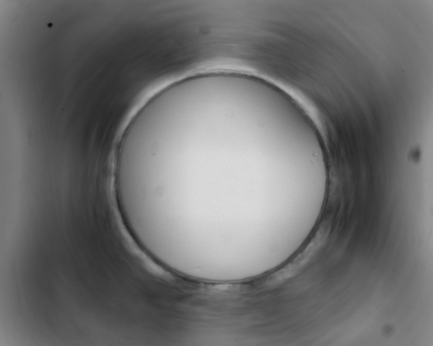 X0000103331390200809051012