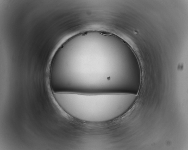 X0000103331392200809051012