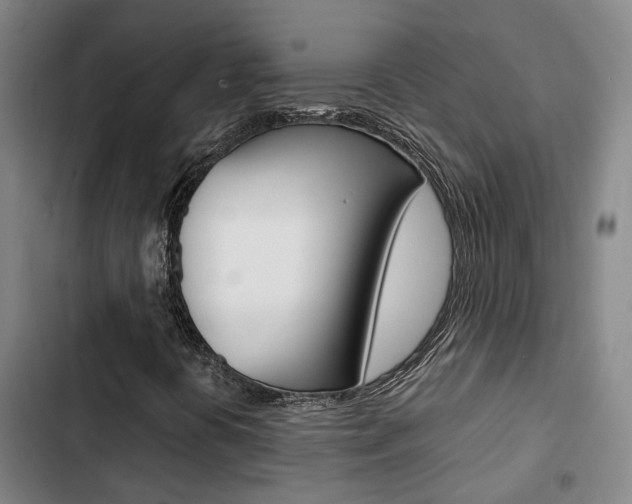 X0000103331394200809051011