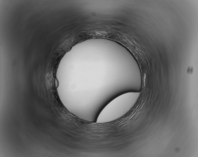 X0000103331395200809051011