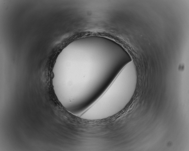 X0000103331398200809051011