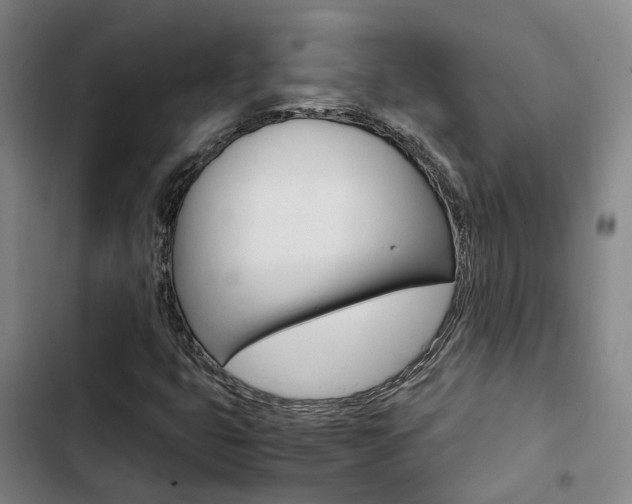 X0000103331399200809051011