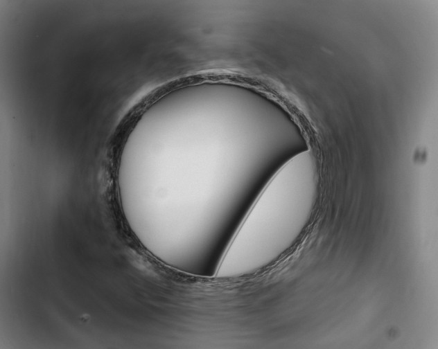 X0000103331400200809051011