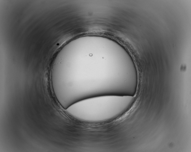 X0000103331401200809051011