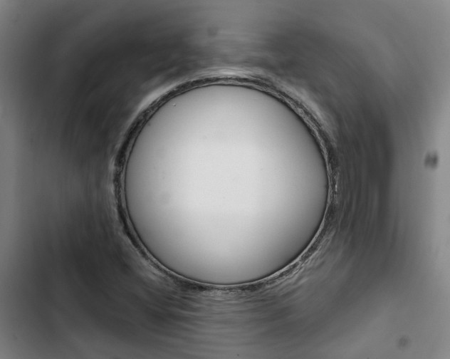 X0000103331404200809051011