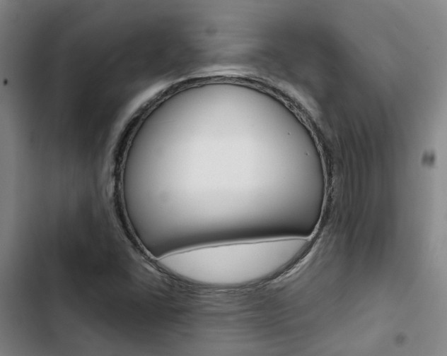 X0000103331406200809051011