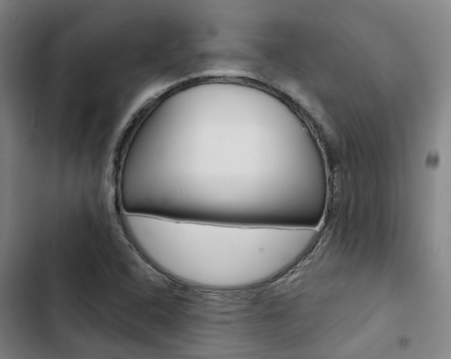 X0000103331408200809051011