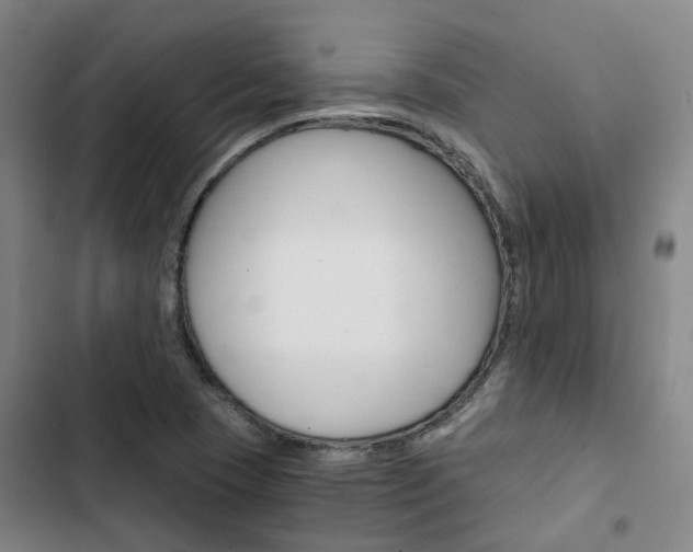 X0000103331409200809051011