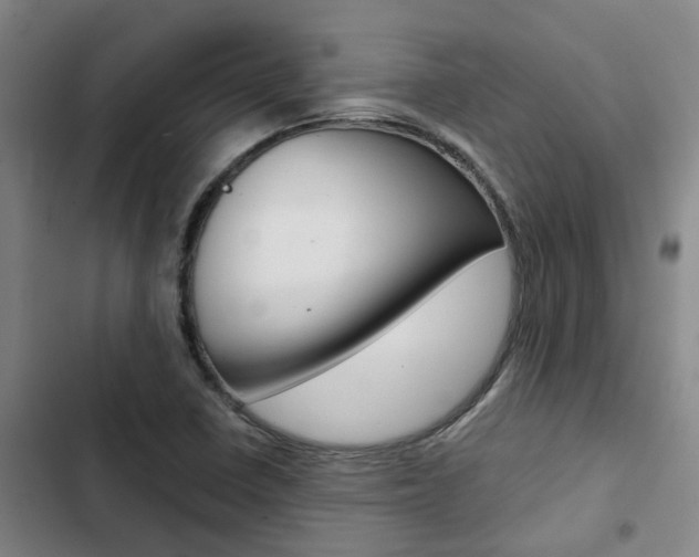 X0000103331410200809051011