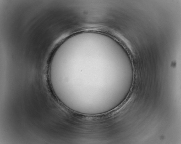 X0000103331411200809051011