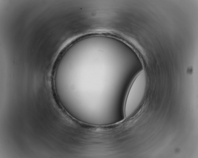X0000103331412200809051011