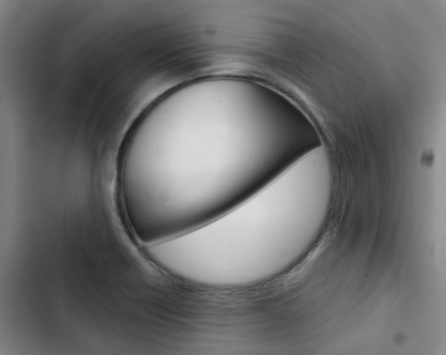 X0000103331418200809051011