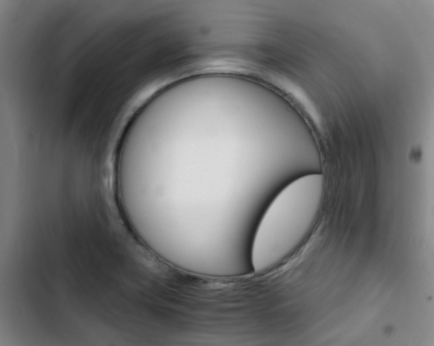 X0000103331419200809051011