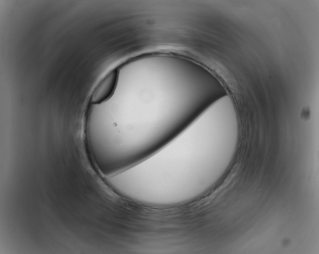 X0000103331420200809051011