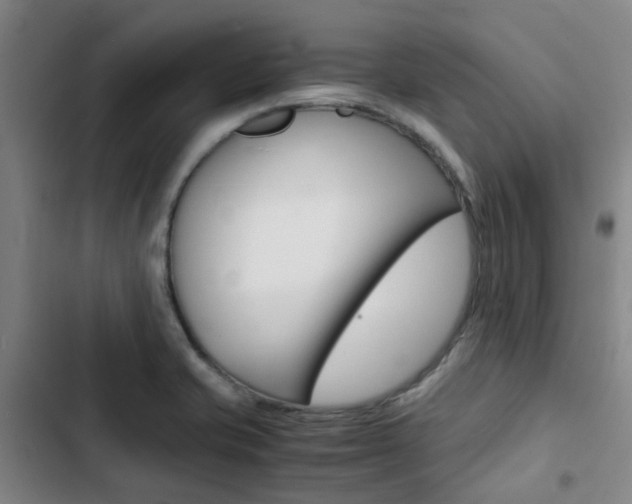 X0000103331421200809051011