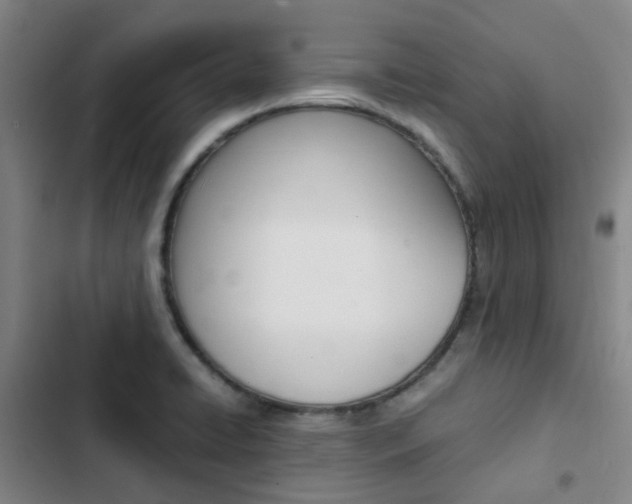 X0000103331422200809051011