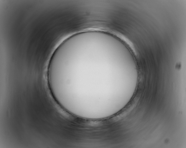 X0000103331423200809051011