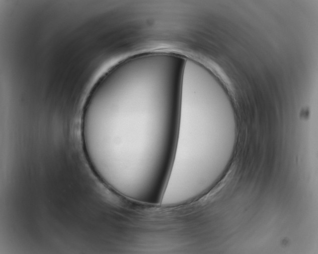 X0000103331424200809051011