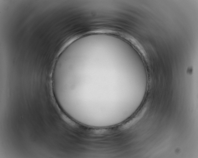 X0000103331425200809051011