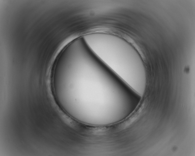 X0000103331426200809051011