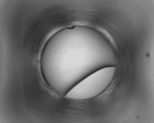 X0000103331427200809051011