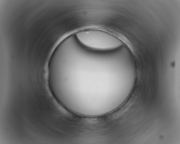 X0000103331428200809051011
