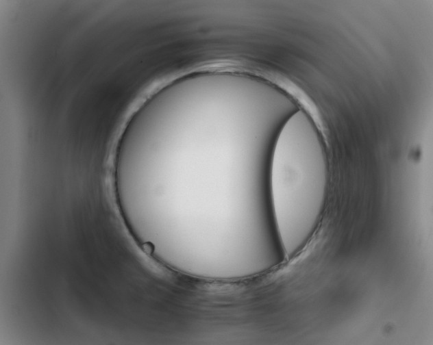 X0000103331429200809051011