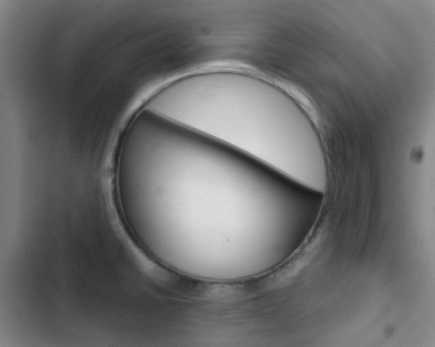 X0000103331430200809051011