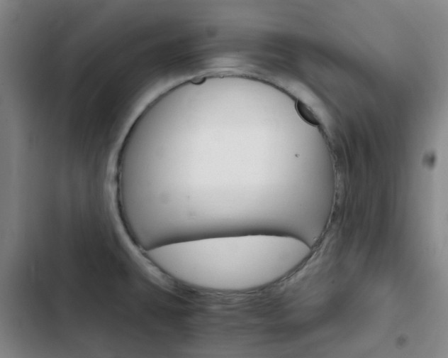 X0000103331431200809051011