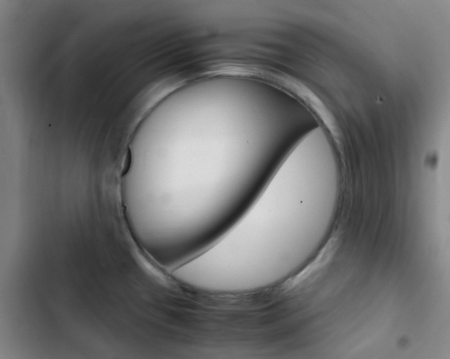 X0000103331433200809051012