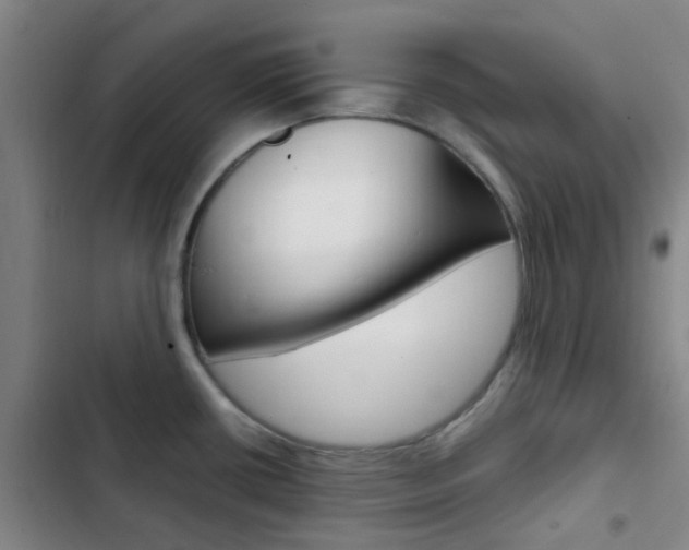 X0000103331434200809051012