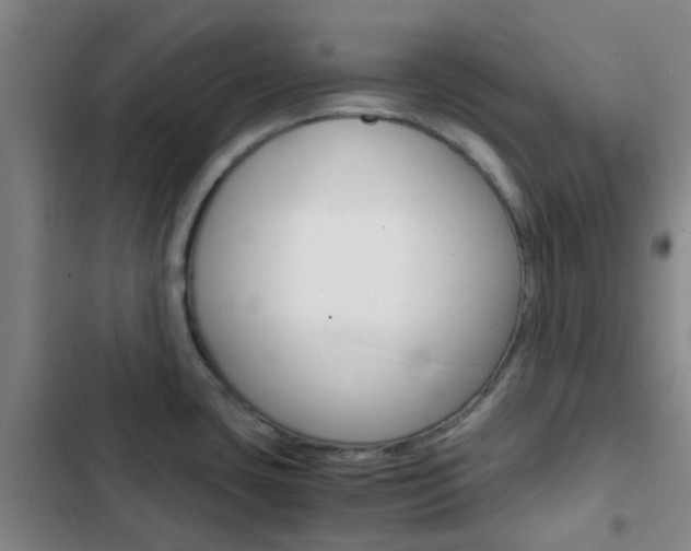 X0000103331435200809051012