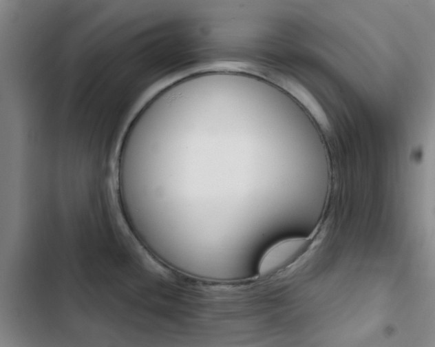 X0000103331436200809051012