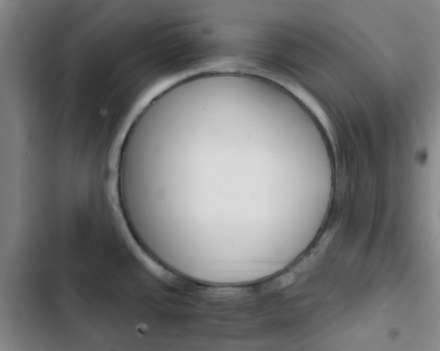 X0000103331437200809051012