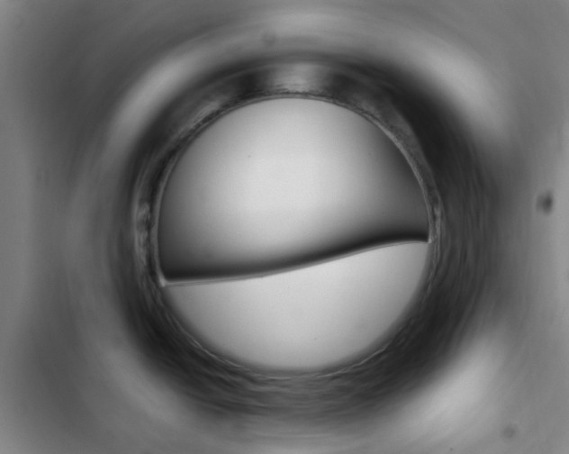 X0000103331438200809051012