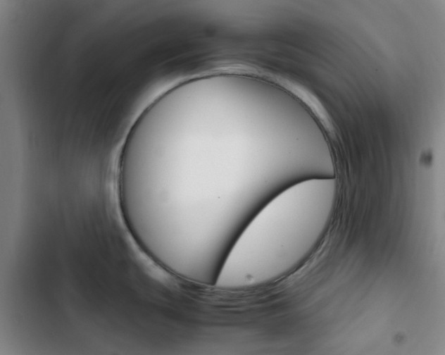 X0000103331439200809051012