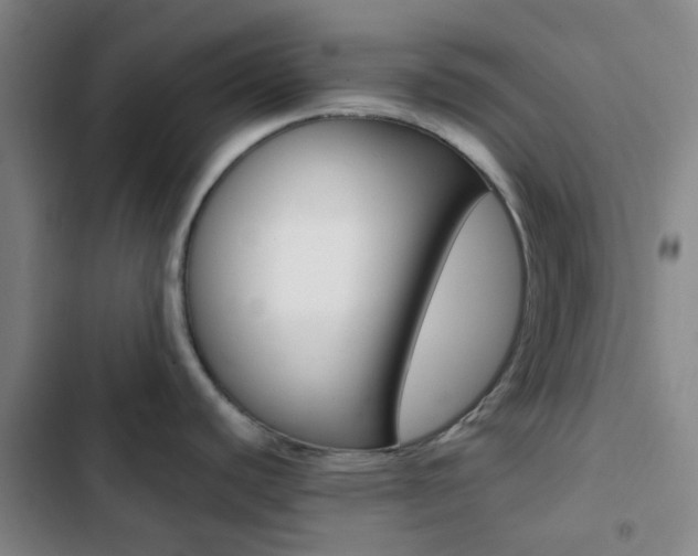 X0000103331440200809051012