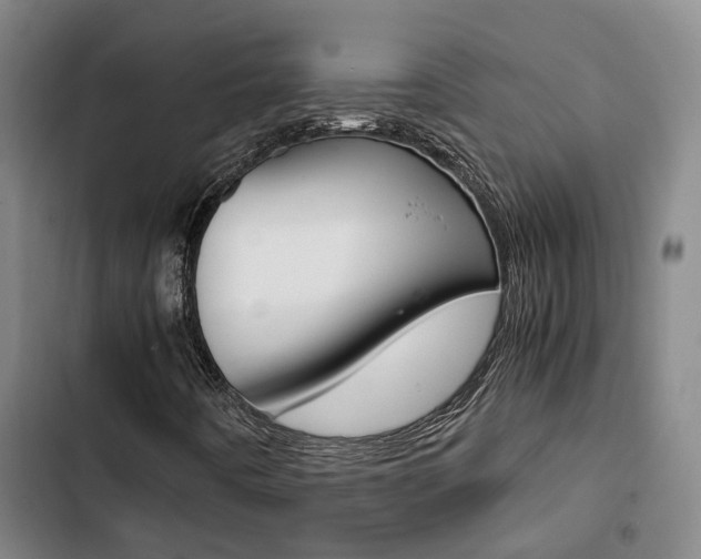 X0000103331442200809051011